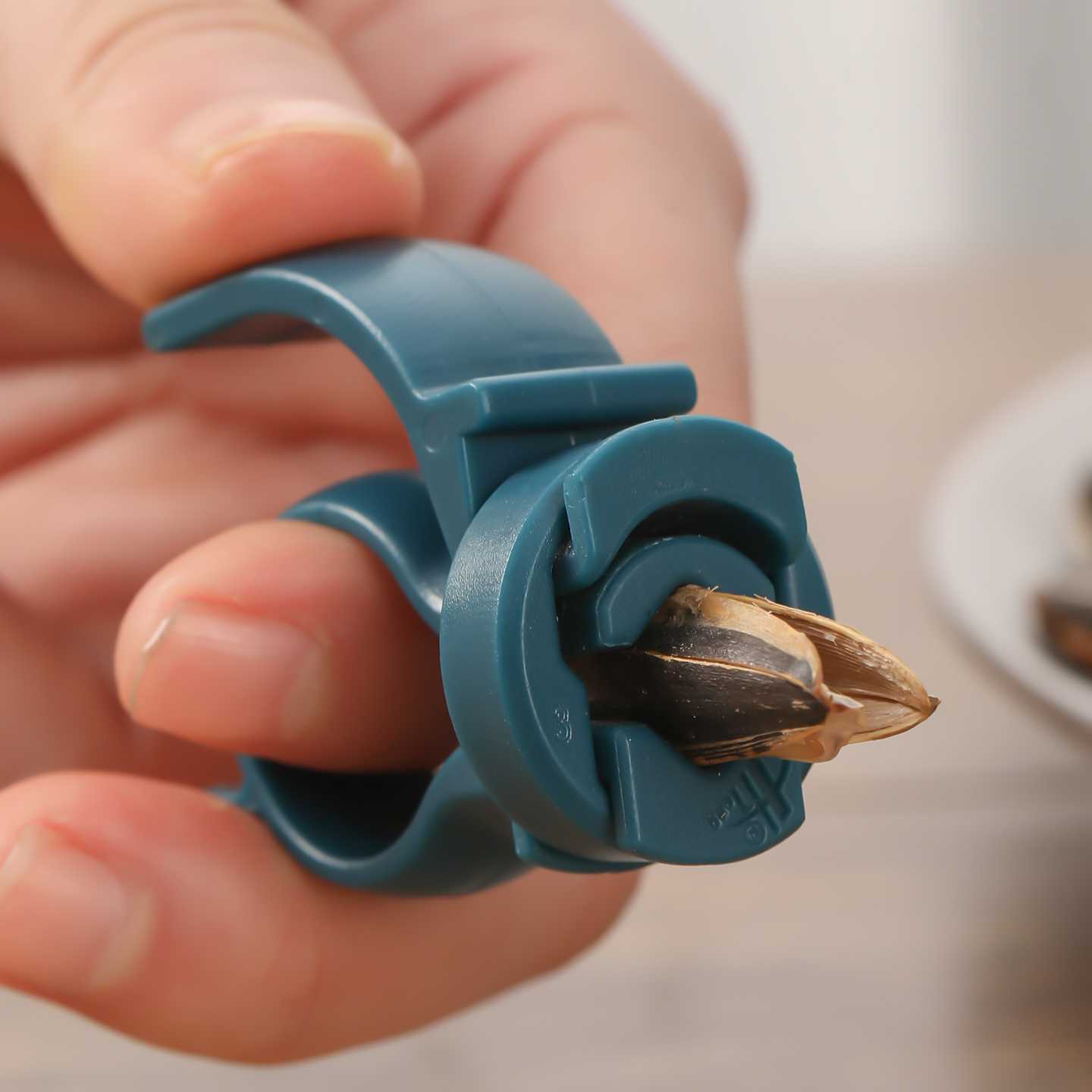 4個入り ランダムカラー クリエイティブ シンプル 小型 ナ - Kitchen Gadgets Must Have のレビューと価格